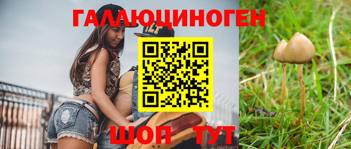 Галлюциногенные грибы ЛСД Карасук