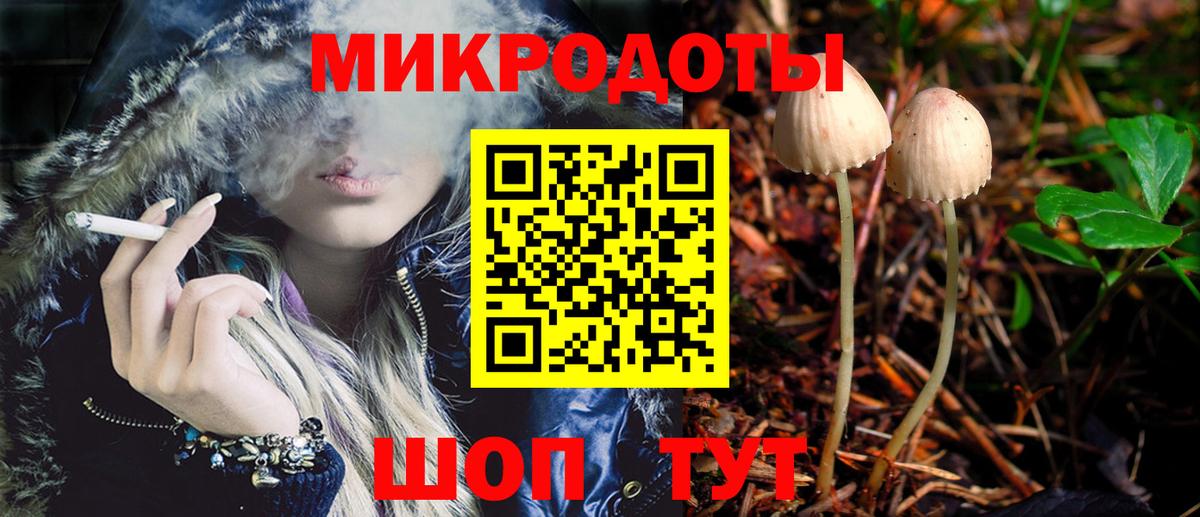 Галлюциногенные грибы мицелий  купить наркотик  Псилоцибиновые грибы GOLDEN TEACHER  Карасук  Вход с VPN 